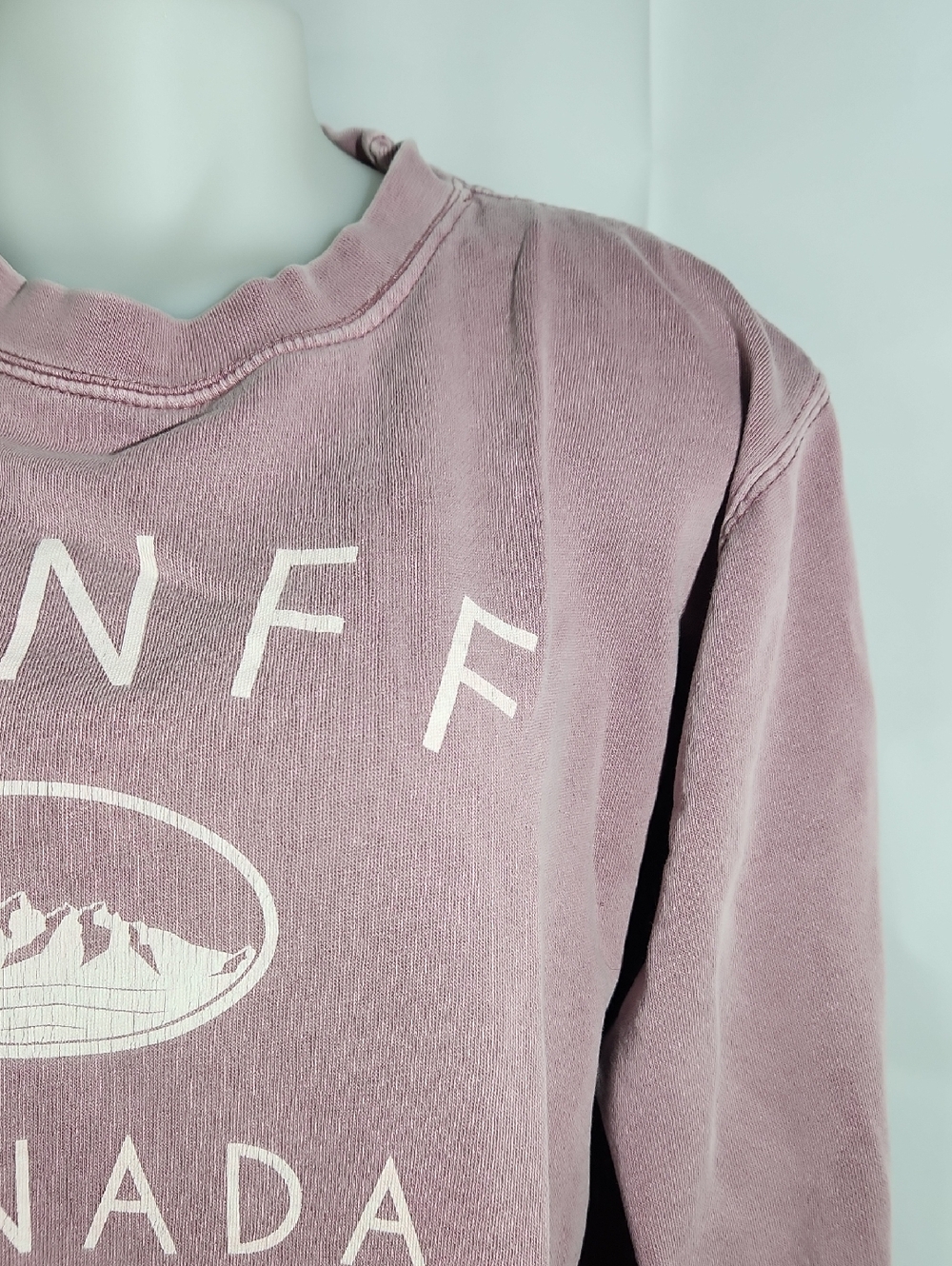 Coastal Culture Women's Mauve Banff Canada Crewneck Sweatshirt - Medium - Picture 3 of 12